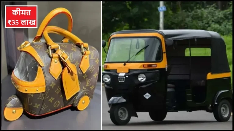 Louis Vuitton Auto Rickshaw Designer Bag Price rs 35 lakh