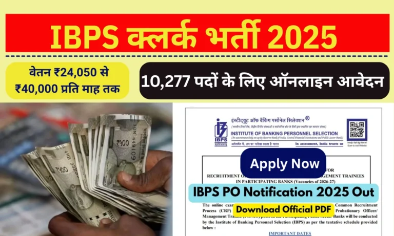 IBPS Clerk Recruitment 2025: 10,277 पदों के लिए ऑनलाइन आवेदन करें