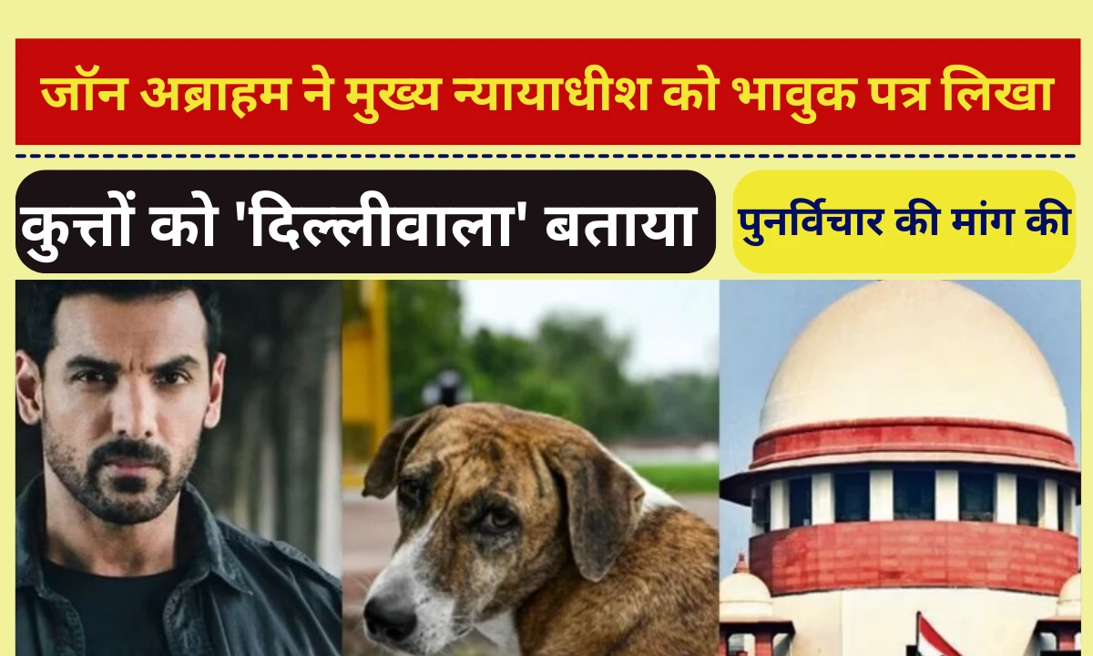 जॉन अब्राहम ने मुख्य न्यायाधीश को भावुक पत्र लिखा, कुत्तों को 'दिल्लीवाला' बताया और पुनर्विचार की मांग की जॉन अब्राहम ने मुख्य न्यायाधीश को भावुक पत्र लिखा, कुत्तों को 'दिल्लीवाला' बताया और पुनर्विचार की मांग की
