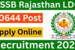 RSSB LDC Bharti 2026: 10,644 पदों पर सुनहरा मौका, आयु सीमा में मिल रही है अतिरिक्त छूट!